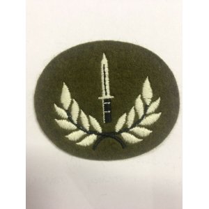 British Army Dagger Wreath Badge Patch Sas Para