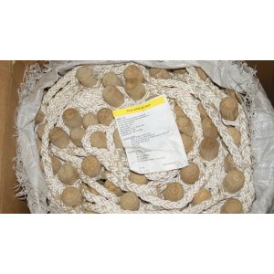 British Army Survival Tactical Rope Ladder